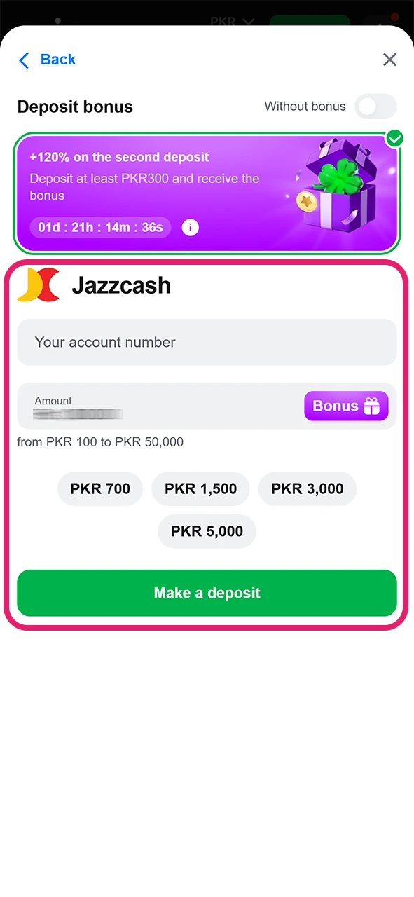 Fill in your payment details to start placing bets in the Plinko game.